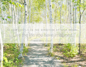 8x10 Color Quote Photography Birch Trees by Greenleafimages, $12.00 ...