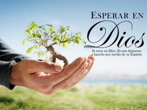 Espera en Dios, y el hará.