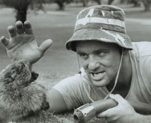 11. Bill Murray played which character in The Royal Tenenbaums?