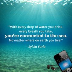 Her Deepness ~ Dr. Sylvia Earle