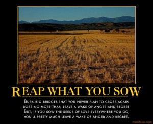 you reap what you sow quotes