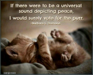 If There Were To Be A Universal Sound Depicting Peace, I Would Surely ...