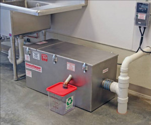 Morning Boners Your...