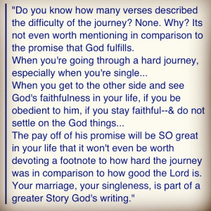 Pastor Steven Furtick from Elevation Church on Singleness/Marriage ...
