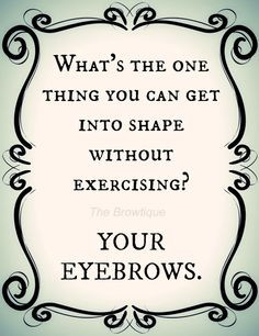 Little Esthetics Humor