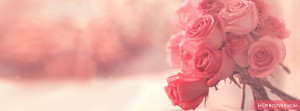 Rose Flower fb covers.Bunch of roses flowers would make your Facebook ...