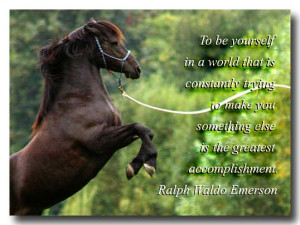 Love My Horse Quotes My book quote for today: 