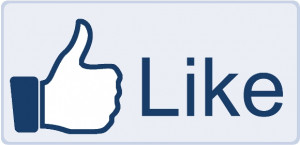 The Facebook Like Button and Like Box can easily be added to any page ...