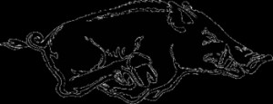 arkansas razorback arkansas razorback arkansas razorback arkansas ...