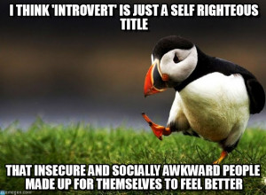 Unpopular Opinion Puffin : I Think 'introvert' Is Just A Self ...