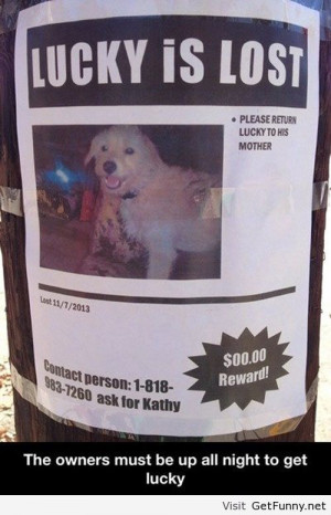 Dog is lost - Funny Pictures, Funny Quotes, Funny Memes, Funny Pics ...