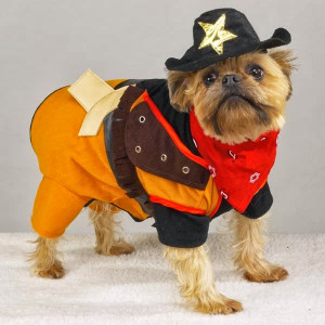 Funny Dog & Cat costumes, They also want to go to the HalloweenParty
