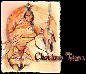 disclaimer who are the choctaw the trail of tears some choctaw facts ...