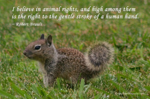 believe in animal rights, and high among them is the right to the ...