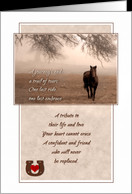 Quotes About Losing A Pet Horse ~ Loss of Horse Sympathy Cards from ...