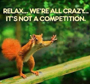 Just another crazy squirrel !!