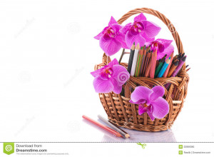 Happy Teachers Day Background White background picture