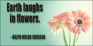 Beautiful Quotes Tumblr On Life On Love on Friendshiop For Girls For ...