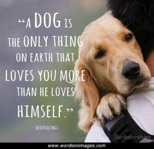 Puppy love quotes
