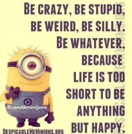 Be crazy, be stupid