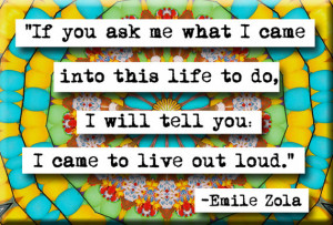 Emile Zola Live Out Loud Refrigerator Locker Quote Magnet or Pocket ...