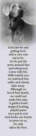 Losing a pet is like losing a best friend. And just like when people ...
