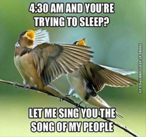 ... am and you're trying to sleep? Let me sing you the song of my people