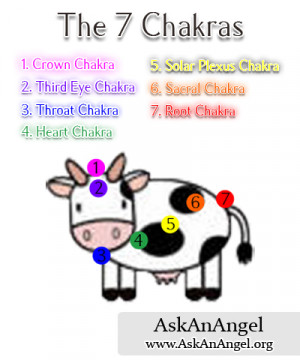 The 7 Chakras – Crown Chakra – Third Eye Chakra – Throat Chakra ...