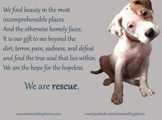 are rescue! one of MVPC's top 10 favorite quotes! And mine about dogs ...