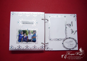 ... their 25th wedding anniversary celebration & complete the scrapbook