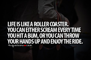 Roller Coaster Ride Quotes