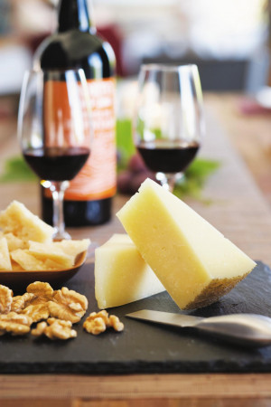 EXTRA CHEESE TASTING FOR CITYSHOR PATRONS AT ANNUAL PUNE WINE & CHEESE ...