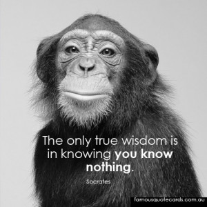 The only true wisdom is in knowing you know nothing”