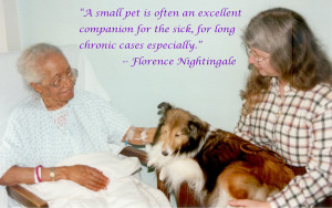 Find out more about our Distance Learning Certificate Course in AAT ...