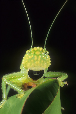 Arts Baseball Quotes Image