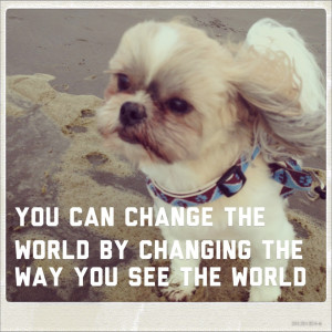 you can change the world by changing the way you see the world quote