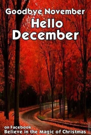 Goodbye November, Hello December