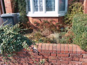 Low Maintenance Front Garden