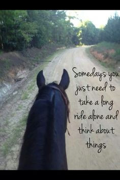Equestrian quotes!!