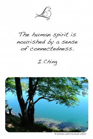 Zen Quotes Philosophy Pictures