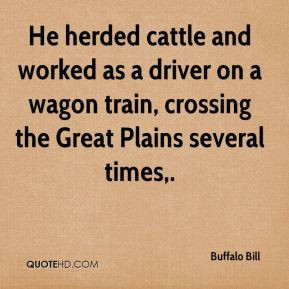 livestock quotes through showing cattle livestock quotes quotes for ...