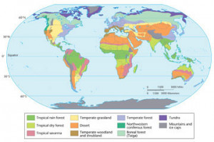 Earth Biomes Global Map