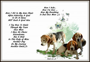Labels: My Beagle Smiles ... My Poems ... My Quotes , Scleroderma and ...