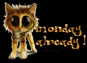 ... funny-cat-have-a-good-day/][img]alignnone size-full wp-image-54410