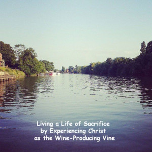 Living a Life of Sacrifice by Experiencing Christ as the Wine ...