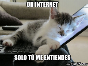 Gatos en InternetOriginal