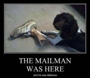 The Mailman Funny Picture