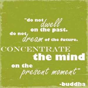 ... on the future. Concentrate the mind on the present moment ~ Budha