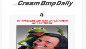 Kermit the Frog Meme Hoax: Racist ‘White Puppeteer Steven Wildfire ...