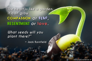 The heart is like a garden: it can grow compassion or fear, resentment ...